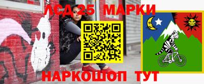 дурь Сланцы