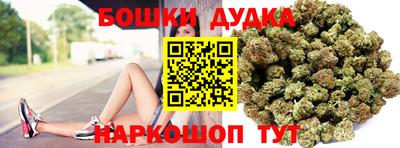 дурь Сланцы