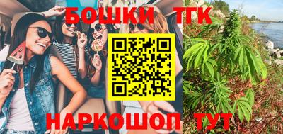 дурь Сланцы