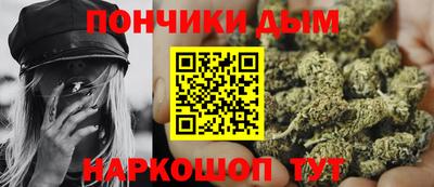 дурь Сланцы